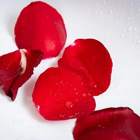 Victory Castle Apartment Prag