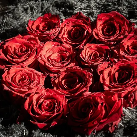 Apartment Victory Castle *