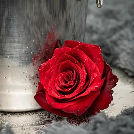 Victory Castle Apartment Prag